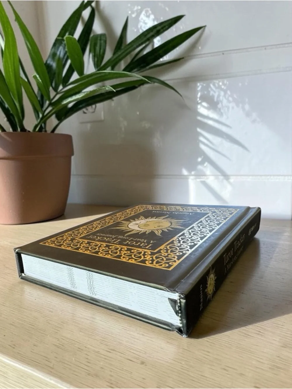 Tarot Tracker A Year-Long Journey Angelo Nasios Hardcover Tarot Journal